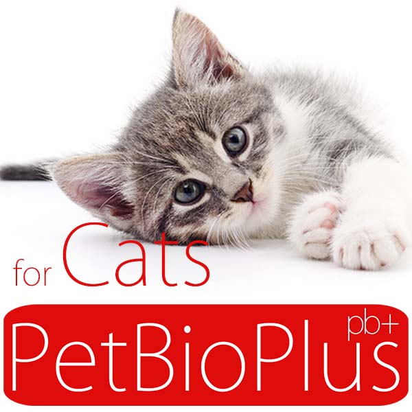 PetBioPlus for Cats