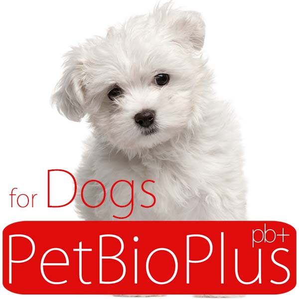 PetBioPlus for Dogs