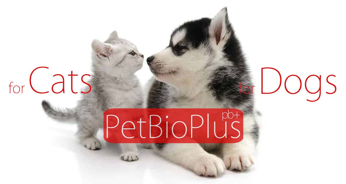 PetBioPlus Pets Our Lovely Friends